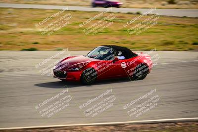 media/Feb-17-2024-Extreme Speed (Sat) [[f2f02d613c]]/Green Group/Session 3 (Turn 4)/